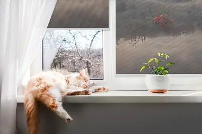 Fensterrollo mit Motiv Bäume im Nebel für den Innenbereich