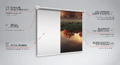 Rollo Fenster mit Motiv Sonnenuntergang hinter Bäumen