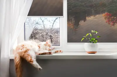 Rollo Fenster mit Motiv Sonnenuntergang hinter Bäumen