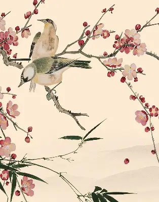 Fensterrollo mit Motiv von Kirschblüten und einem Vogel