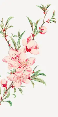 Fensterrollo mit Motiv einer rosa Blume