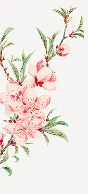 Fensterrollo mit Motiv einer rosa Blume