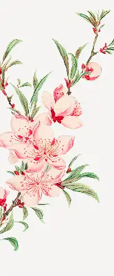 Fensterrollo mit Motiv einer rosa Blume