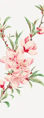 Fensterrollo mit Motiv einer rosa Blume