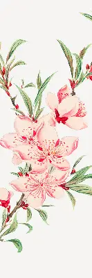 Fensterrollo mit Motiv einer rosa Blume