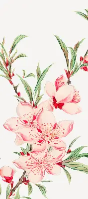 Fensterrollo mit Motiv einer rosa Blume