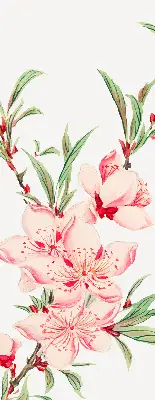 Fensterrollo mit Motiv einer rosa Blume