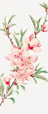 Fensterrollo mit Motiv einer rosa Blume