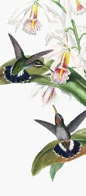 Rollo Fenster mit dem Motiv Vögel auf einer Blume