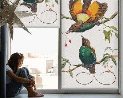 Fensterrollo mit dem Motiv von Vögeln auf einem Ast