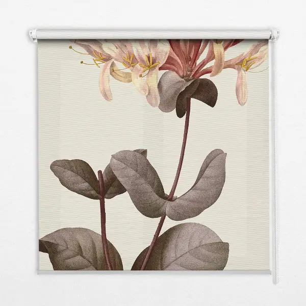 Fensterrollo innen mit Motiv herabfallende Blume