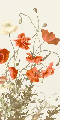 Rollo mit Mohnblumenmotiv