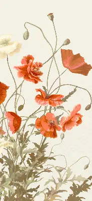 Rollo mit Mohnblumenmotiv