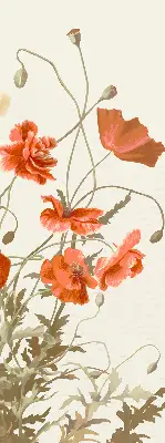 Rollo mit Mohnblumenmotiv