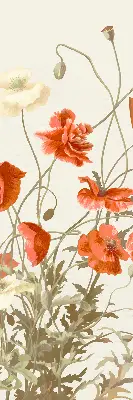 Rollo mit Mohnblumenmotiv
