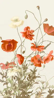 Rollo mit Mohnblumenmotiv
