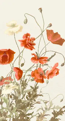 Rollo mit Mohnblumenmotiv