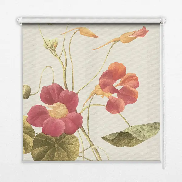 Fensterrollo mit Blumenmotiv