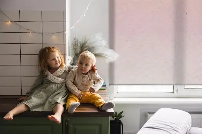 Fensterrollo mit Motiv von fliegenden Vögeln