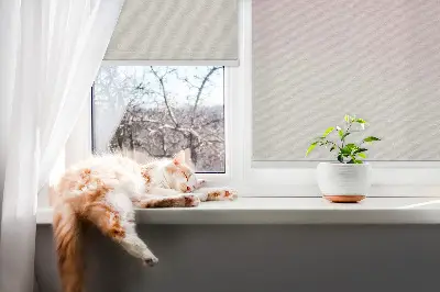 Fensterrollo mit Motiv von fliegenden Vögeln