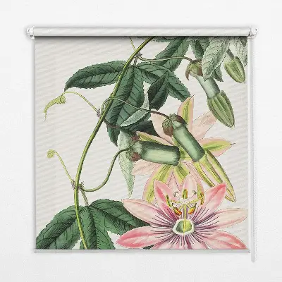 Rollo Fenster mit Motiv einer rosa Blume