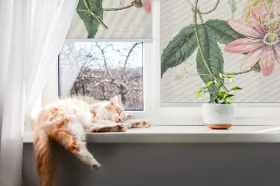 Rollo Fenster mit Motiv einer rosa Blume