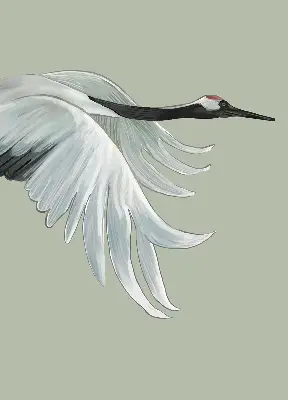 Fensterrollo mit Motiv Kranich im Flug