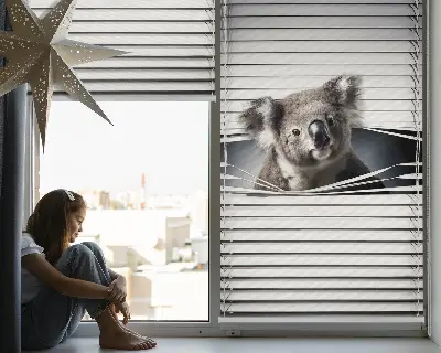 Rollo fenster zur innenmontage