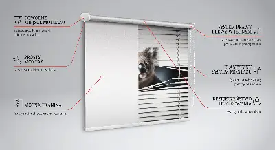 Rollo fenster zur innenmontage