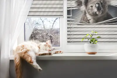Rollo fenster zur innenmontage