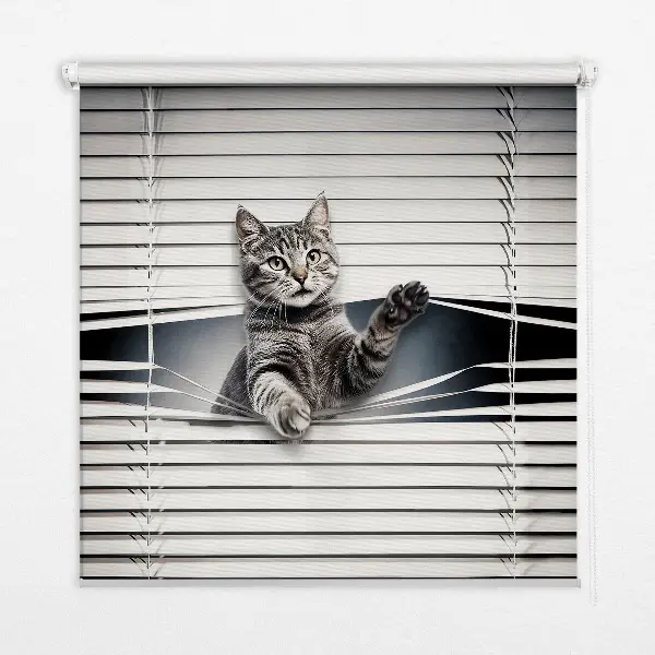 Fensterrollo mit Katzenmotiv