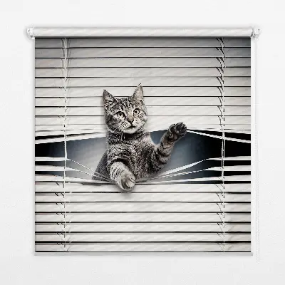 Fensterrollo mit Katzenmotiv