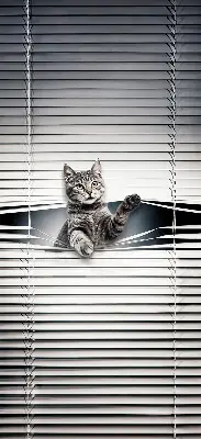 Fensterrollo mit Katzenmotiv