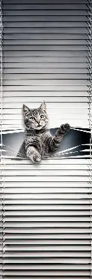 Fensterrollo mit Katzenmotiv