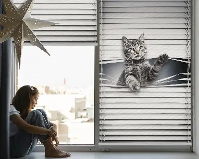 Fensterrollo mit Katzenmotiv