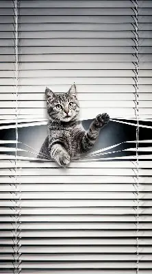 Fensterrollo mit Katzenmotiv