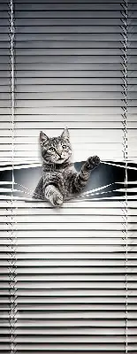 Fensterrollo mit Katzenmotiv