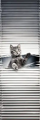Fensterrollo mit Katzenmotiv