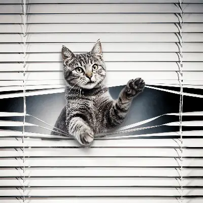 Fensterrollo mit Katzenmotiv