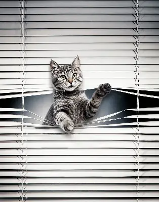 Fensterrollo mit Katzenmotiv