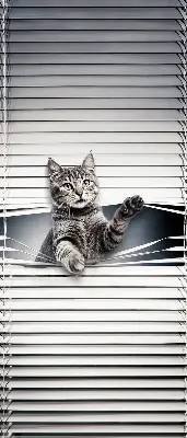 Fensterrollo mit Katzenmotiv