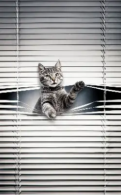 Fensterrollo mit Katzenmotiv