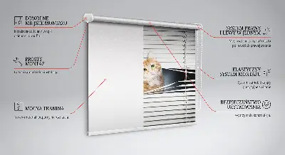Fensterrollo innen von Ingwerkatze
