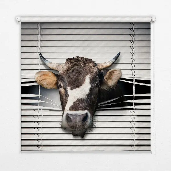 Fensterrollo mit Kuhmotiv