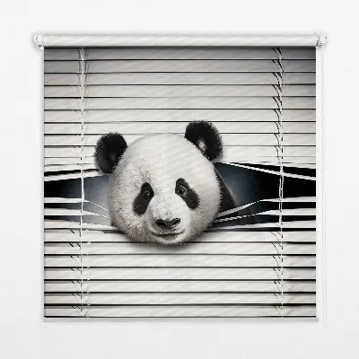 Fensterrollo Panda Design