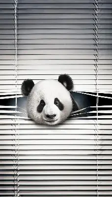 Fensterrollo Panda Design