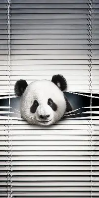 Fensterrollo Panda Design