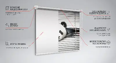 Fensterrollo Panda Design