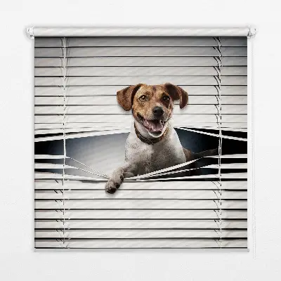 Fensterrollo mit Hundemotiv für den Innenbereich