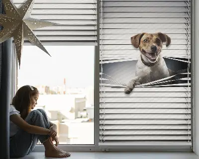Fensterrollo mit Hundemotiv für den Innenbereich